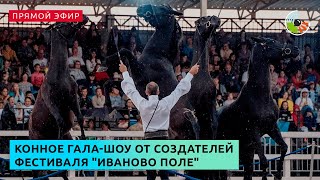 Конное гала-шоу от создателей фестиваля "Иваново поле"