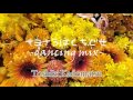 Toshiki Kadomatsu / サヨナラはくちぐせ-dancing mix-