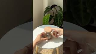 Self Stirring Mug #temufinds #temustyle #shoptemu (link in description)