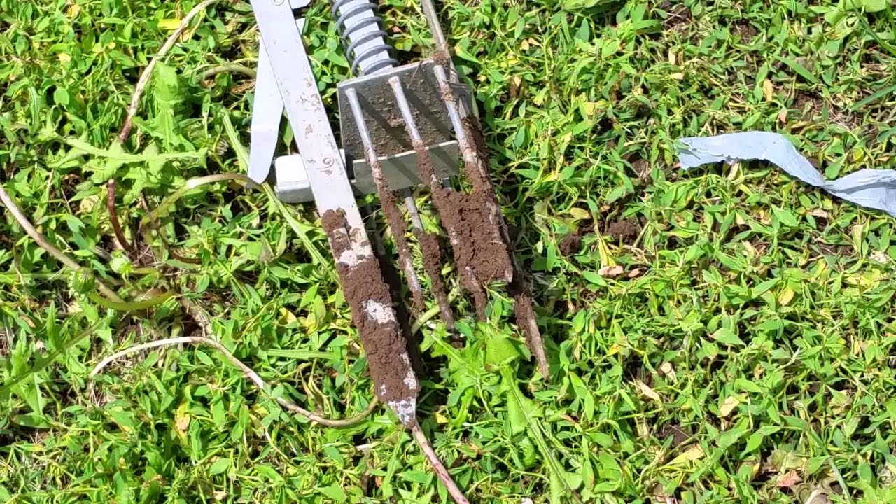Mole trap that works YouTube