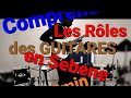 Rles des guitares en sebene en 2min sebenelife