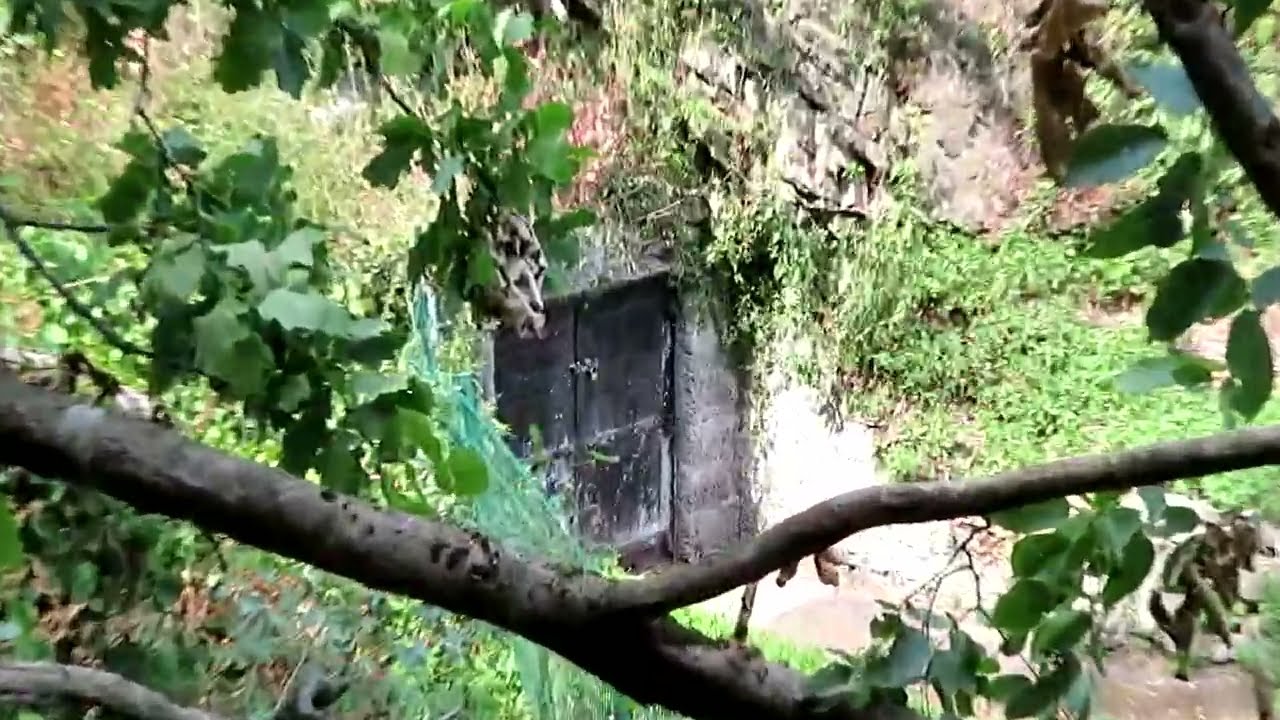 Die Solmsbachtalbahn & ihre Gruben E24 - Der Riemann Stollen (2)