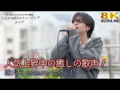 【 歌うま 】人気上昇中の癒しの歌声！　恋だろ / wacci（ covered by はせとも。）横須賀路上ライブ（ヨコスカ街なかミュージックライブ） 高音質 8K動画