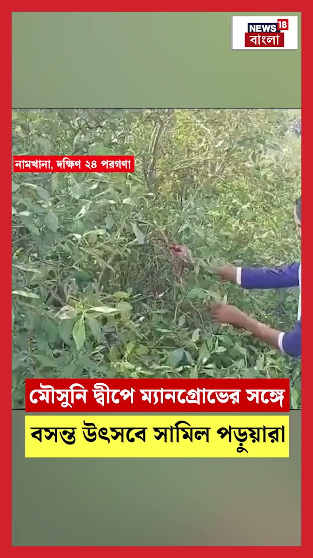 Mousuni Island এ ম্যানগ্রোভের সঙ্গে বসন্ত উৎসবে সামিল পড়ুয়ারা #shorts