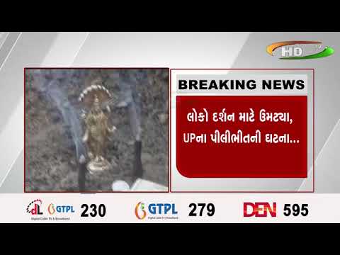 ખોદકામ વખતે ભગવાન વિષ્ણુની મૂર્તિ મળી,