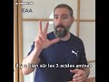 Que sont les bcaa  bcaa eaa musculation