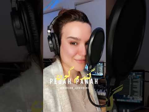 Pegah Panah Gandom Goon Mohsen Chavoshi Cover 
