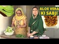 Aloe Vera Ki Sabzi Recipe | Gwarpatha Ki Sabzi | Aloe Vera Sabji Recipe | How to Make AloeVera Sabzi