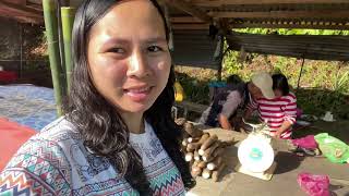 Download Lagu Beli Buah Empasa Sebelum Ambil Udang Ke Sawai //Packing Kasam Udang Untuk Post MP3 Download Lagu Beli Buah Empasa Sebelum Ambil Udang Ke Sawai //Packing Kasam Udang Untuk Post MP3