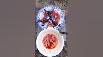 bọ cạp chiên giòn món này ăn rất ngon / ngọc vũ vlog #ẩmthực #food #amthuc #bọcạp