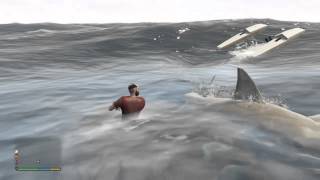 Grand Theft Auto V kill the shark with a knife