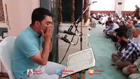 تلاوة القرآن الكريم