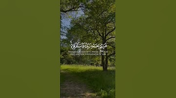 إذا جاء نصر الله والفتح || سورة النصر كاملة#خالد_الجليل - #قرآن_كريم #اكسبلور #quranicarabic