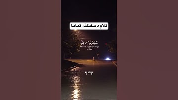 تلاوة توريح القلب 🎧❤️قل لمن الارض ومن فيها 💙😍 #اكسبلور #المصحف #دويتو #راحة_نفسية