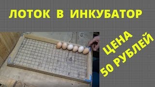 ЛОТОК ДЛЯ ИНКУБАТОРА из сварной сетки, своими руками