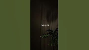 تلاوة هادئة تأخذك إلى عالم من الهدوء والسكينة بصوت القارئ هزاع البلوشي ♡ #هزاع_البلوشي #قرآن