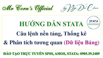 Hướng dẫn STATA | Các câu lệnh nền tảng, Thống kê & Phân tích tương quan (Dữ liệu Bảng) 07012024