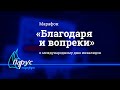 Онлайн-марафон "Благодаря и Вопреки" к международному дню инвалидов