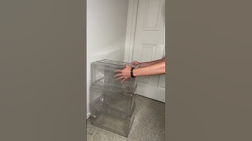 Best transparent shoe boxes！！😍