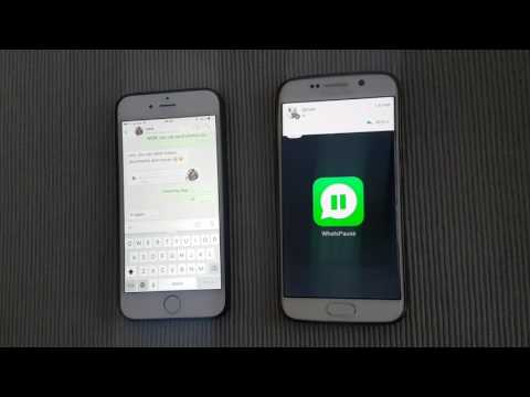 Whatspause for Whatsapp