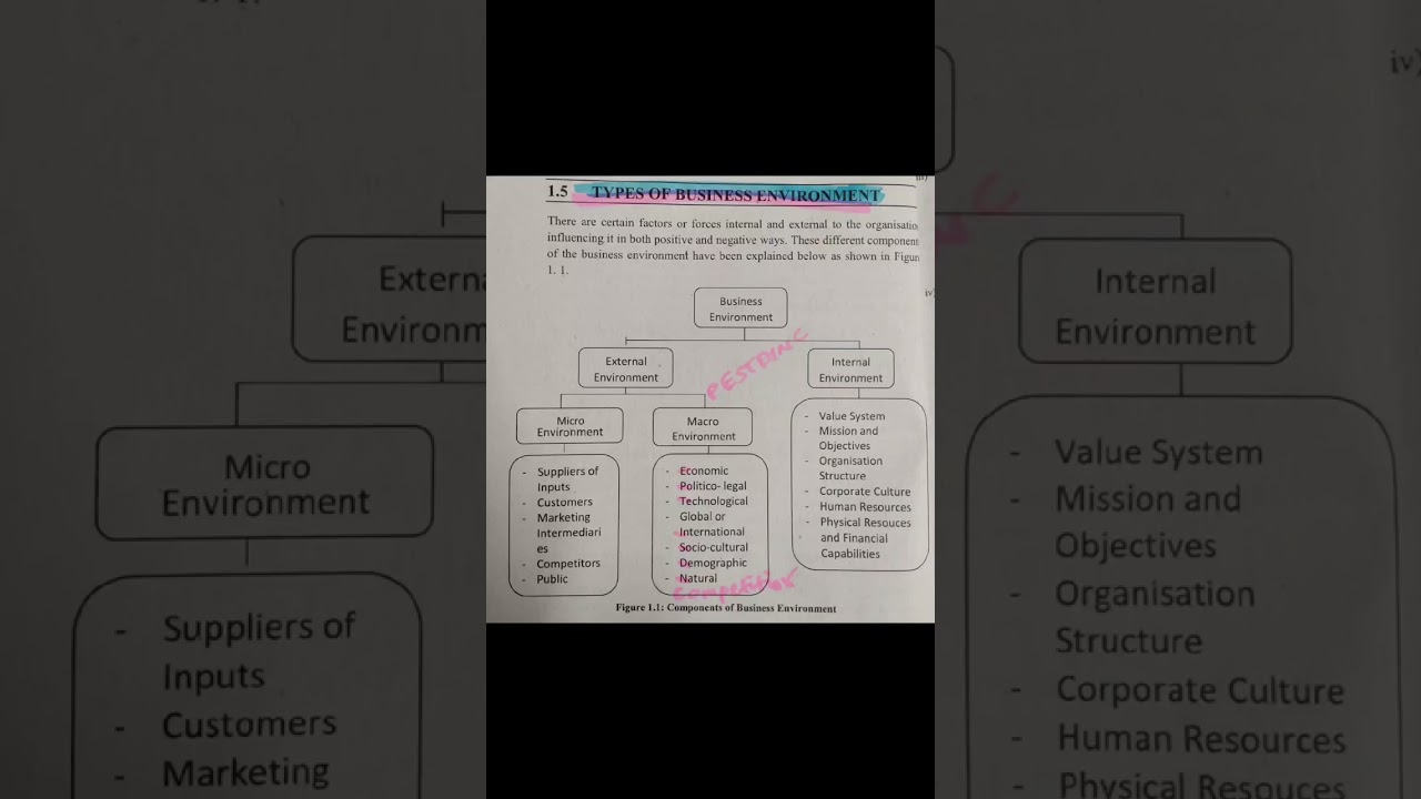 Soorten bedrijfsomgevingen #Bedrijf #omgeving #shorts