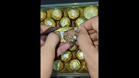 ferrero chocolate asmr #trending #chocolate #trendingshorts #shorts #shortsfeed #asmr