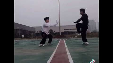 Thái cực quyền vs Vịnh xuân quyền