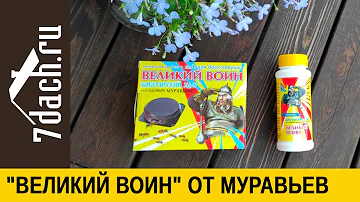 Как бороться с муравьями с помощью гранул и ловушек 