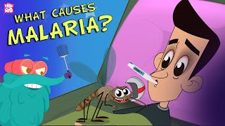 What Causes MALARIA? The Dr. Binocs Show | Best Learning Videos For Kids | Peekaboo Kidz screenshot 4