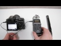 Zoom H5 as XLR Preamp on Sony A7s