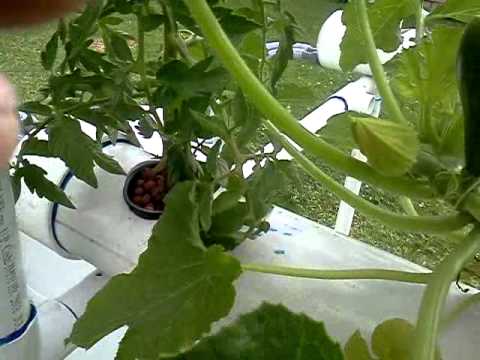 a way to build an indoor hydroponic garden