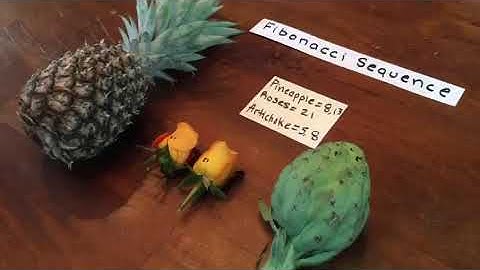 Fibonacci sequence abcdefghijklmnopqrstuv