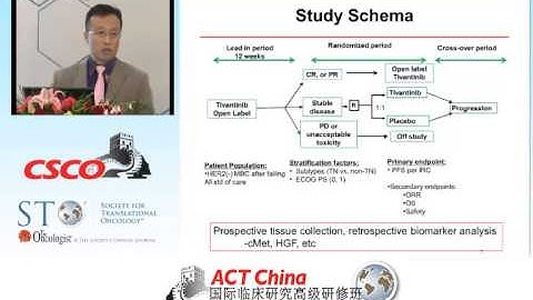 333 david liu chinese