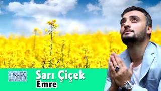 Sordum Sarı Çiçeğe - Emre Ermiş Resimi