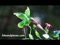 Hummingbird and dragonfly whirligig  item 40721