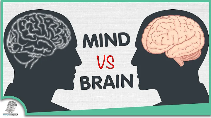Mind VS Brain: The 5 Differences - DayDayNews