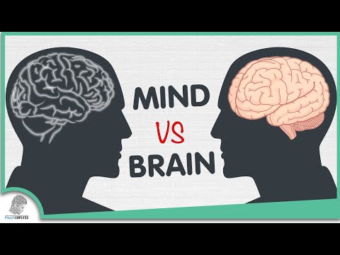 Mind Vs Brain: The 5 Differences