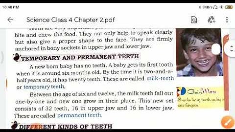 Class 4 - Science - Chapter 2 - Teeth & Microbes - Part 1