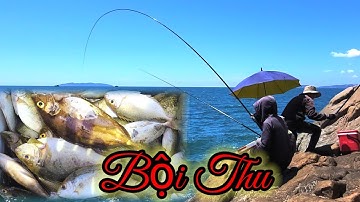 vuongfishing86  / Ngày trở lại hòn khô _ Bãi xếp câu cá giò cùng Anh,Em