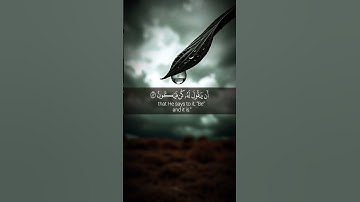 تلاوة خاشعة تأخذك إلى عالم أخر 🤍🎧 #راحة_نفسية || بصوت الشيخ فارس عباد #short