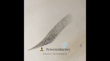 Powder Brows on Latex by Master Shayli