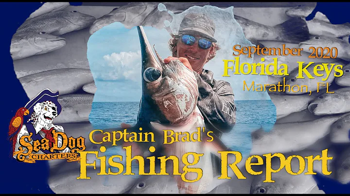 Captain Brad's Fishing Report September 2020 Flori...