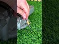 tricks using brass connectors #shortvideo