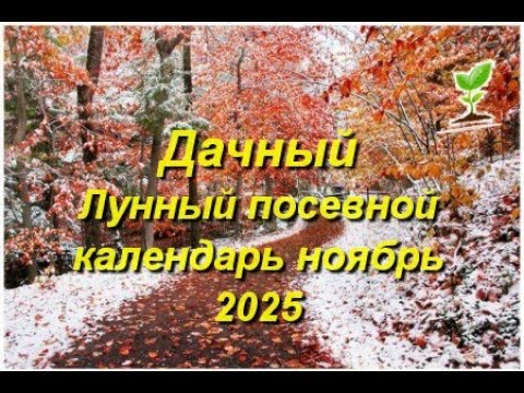 Дачный Лунный посевной календарь на ноябрь 2025 года для садоводов и огородников