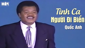 Tình Ca Người Đi Biển (Trường Hải) — Quốc Anh | MV Gốc Nhạc Xưa Hollywood Night