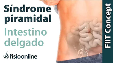 ¿Afecta el piriforme a los intestinos?