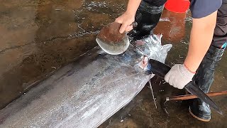 Как приготовить гигантскую марлинскую рыбу для сашими с помощью специального ножа