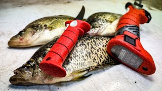 3 Ways to Fillet a Crappie That Every Panfish Angler Should Know!