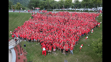 Welcome Class of 2020: Pass through the pillars