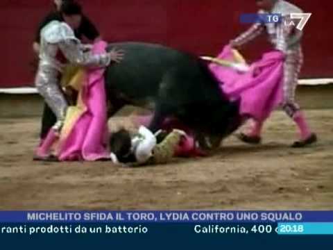 Michelito sfida il toro, Lydia contro uno squalo 0...